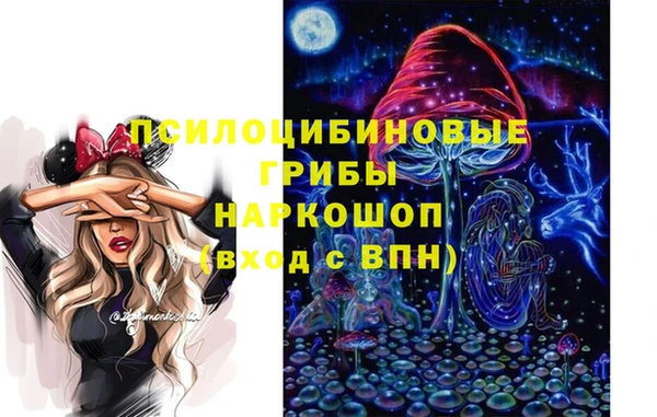 spice Богородицк