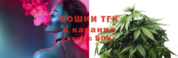 spice Богородицк