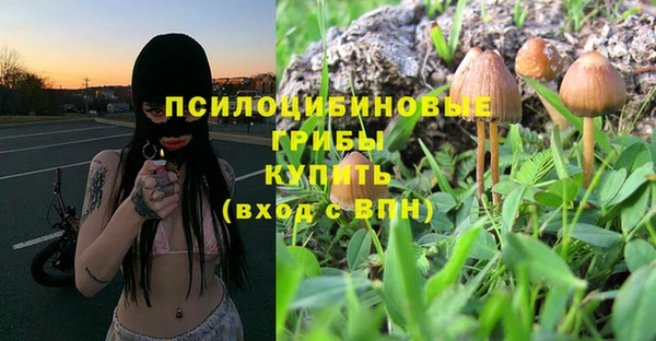 spice Богородицк