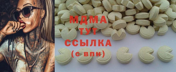 spice Богородицк