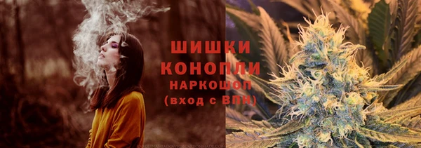 spice Богородицк