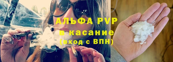 спиды Богородск