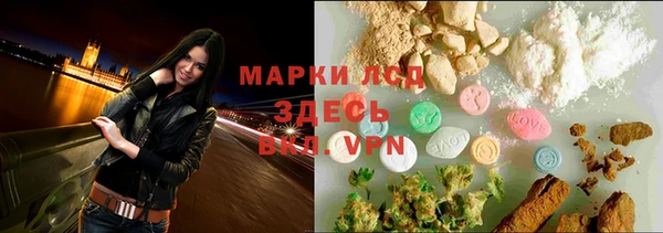 spice Богородицк