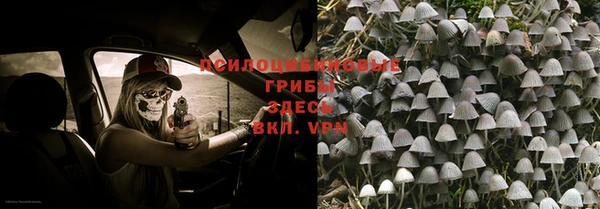 прущая мука Богданович