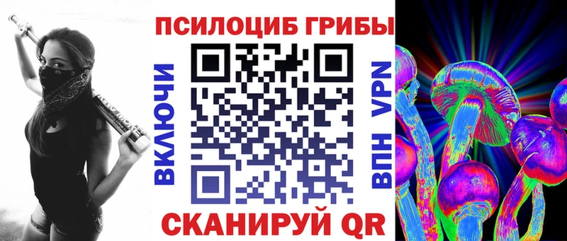 Купить закладки  Горно-Алтайск  Галлюциногенные грибы Cubensis 